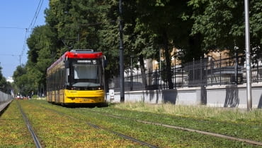 Zielone torowisko Zielone torowisko