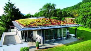 zieleń na dachu stromym