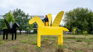 Pegazy na Polu Mokotowskim