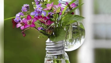 Gwint żarówki obwiązujemy drutem lub sznurkiem i zawieszamy na nim "wazonik". Jeśli jednak zależy nam Entkernte Gl´hbirnen als h ngende Blumenvasen mit Wiesenschaumkraut Saxifraga und Vergissmeinnicht - mit Steps SLOWA KLUCZOWE: Gl´hbirne Gl´hbirnen kreativ Kreatividee Idee selber machen DIY Helga Noack Step Steps Stepp Stepps Recycling Glas entkernen aush^hlen Vase Vasen h ngen h ngend Blumen Bl´ten Str u?chen Fr´hling Saxifraga Moosdteinbrech Vergissmeinnicht Wiesenschaumkraut Hochformat