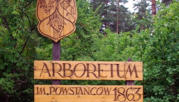 Arboretum w Kopnej Górze Arboretum w Kopnej Górz