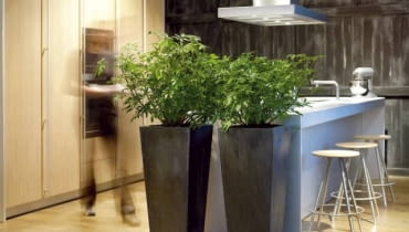 rośliny kwiaty aranżacja wnętrze dekoracje