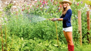 Podlewanie to jeden z ważniejszych zabiegów, który powtarza się przez cały sezon Podlewanie to jeden z ważniejszych zabiegów, który powtarza się przez cały sezon