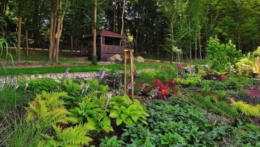 Górny taras położony w półcieniu zajęły rozmaite paprocie, miodunki i funkie.