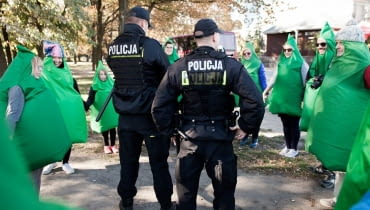 Żywopłot Żywopłot