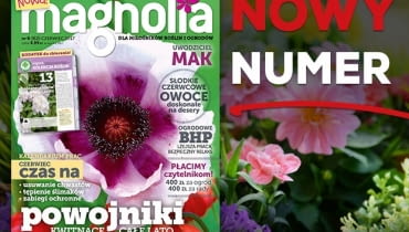 Magazyn Magnolia Magazyn Magnolia