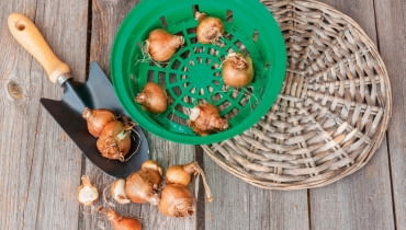 H>S3G]?-1i\%.x@!1ldI