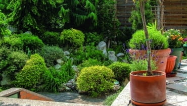 Kraina skał i zieleni zaaranżowana w rogu działki to efektowna kompozycja niskich tawuł japońskich, trzmieliny oraz wilczomleczy. 14.06.2005 WARSZAWA OGROD PRYWATNY ALEKSANDRA BAK - WILANOW UL. BIEDRONKI DLA MIESIECZNIKA OGRODY FOT. WOJCIECH SURDZIEL / AGENCJA GAZETA