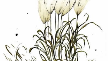 Trawy z wysokimi puszystymi kwiatostanami warto pozostawić na rabatach, nawet jeśli już uschły. W zimowe ranki, pokryte malowniczo szronem, będą ozdobą ogrodu Trawy z wysokimi puszystymi kwiatostanami warto pozostawić na rabatach, nawet jeśli już uschły. W zimowe ranki, pokryte malowniczo szronem, będą ozdobą ogrodu