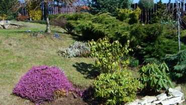 <Digimax S500 / Kenox S500 / Digimax Cyber 530>