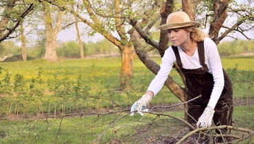 Na pewno podczas wiosennych porządków trzeba zwrócić uwagę na nasze drzewa oraz krzewy. Na pewno podczas wiosennych porządków trzeba zwrócić uwagę na nasze drzewa oraz krzewy.
