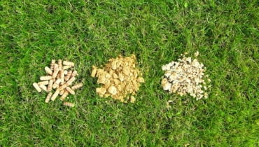 Grzybnia boczniaka Marek Siwulski