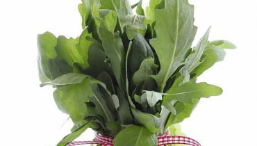 Liście rukoli wyróżniają się musztardowym posmakiem i zapachem Liście rukoli wyróżniają się musztardowym posmakiem i zapachem