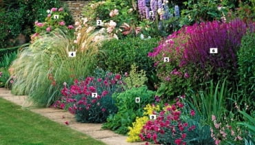 Border with Rosa 'La Ville de Bruxelles', Stipa barbata, Dianthus 'Laced Monarch' and Salvia x superba - The Garden House, Gloucestershire