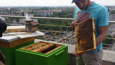 Otwarcie uli na budynku Eurocentrum w Warszawie Otwarcie uli na budynku Eurocentrum w Warszawie