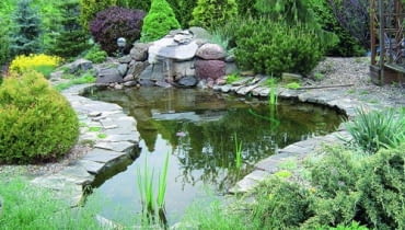 Oczko wodne po remoncie. O tym, by woda w zbiorniku była czysta, decyduje nie tylko system filtrowania i napowietrzania. Równie ważne jest solidne zabezpieczenie niecki i jej brzegów, by ze zbiornika nie ubywało wody. Dolewanie jej później prowadzi bowiem do zaburzenia równowagi biologicznej i rozwoju glonów. Oczko wodne po remoncie. O tym, by woda w zbiorniku była czysta, decyduje nie tylko system filtrowania i napowietrzania. Równie ważne jest solidne zabezpieczenie niecki i jej brzegów, by ze zbiornika nie ubywało wody. Dolewanie jej później prowadzi bowiem do zaburzenia równowagi biologicznej i rozwoju glonów.