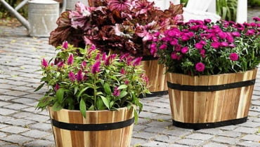 Pojemniki z wrażliwymi gatunkami zabieramy do powieszczeń. SLOWA KLUCZOWE: efterAYr autumn hAst herbst inspiration anregungen fd55 aster novi-belgii heuchera rosa pink