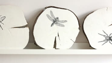 Transfer wydruku na drewno. dekoracje do domu