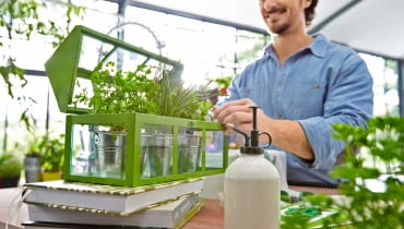 Mini-szklarnia. W zestawie 3 ocynkowane doniczki, 3 doniczki z tworzywa sztucznego, nasiona ziół kuchennych i substrat. Tchibo, cena 120 zł. t