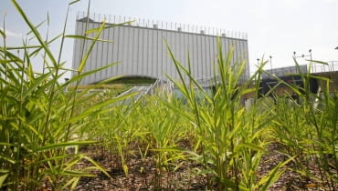 Gmach Opery i Filharmonii Podlaskiej powstawał przez ostatnie 6 lat. Jego projektantem jest Marek Budzyński, znany min. ze spektakularnego budynków BUW w Warszawie. Zgodnie z założeniem projektanta, całość tonie w zieleni. Dzisiaj obiekt jest już prawie gotowy, a jego uroczyste otwarcie przewidziano na koniec września 14.07.2011 BIALYSTOK , OPERA I FILHARMONIA PODLASKA PODCZAS WYKANCZANIA BUDOWY , FINANSOWANA M.INN . ZE SRODKOW UNIJNYCH I ZA PIENIADZE URZEDU MARSZALKOWSKIEGO . FOT . AGNIESZKA SADOWSKA / AGENCJA GAZETA A SLOWA KLUCZOWE: BUDOWA INWESTYCJA SRODKI UNIJNE PIENIADZE Z UNII EUROPEJSKIEJ PROJEKTA ARCHITEKTA MARKA BUDZYNSKIEGO PROJEKTANT MAREK BUDZYNSKI ARCHITEKT PROJEKT ARCHITEKTONICZNY ZDJĘCIE DO WKŁADKI: A