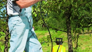 Resztki płynu pozostałe po wypłukaniu opakowań po preparatach wlewamy do opryskiwacza i spryskujemy nimi rośliny, na których stosowaliśmy te środki ostatnio.