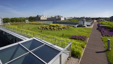 Zielony dach na Wydziale Neofilologii Uniwersytetu Warszawskiego Zielony dach na Wydziale Neofilologii Uniwersytetu Warszawskiego