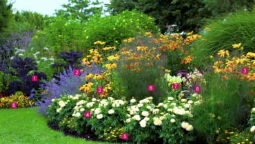 Projekt rabaty na stanowisko słoneczne. Summer border