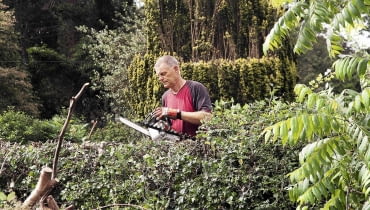 Usunięcie krzewów w wieku powyżej 10 lat także powinniśmy zgłosić do urzędu miasta lub gminy. Usunięcie krzewów w wieku powyżej 10 lat także powinniśmy zgłosić do urzędu miasta lub gminy.