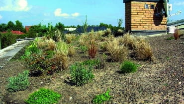 Woda deszczowa powinna jak najkrócej stykać się z powierzchnią każdego dachu płaskiego, ale odwodnienie jest szczególnie istotne w dachach odwróconych Woda deszczowa powinna jak najkrócej stykać się z powierzchnią każdego dachu płaskiego, ale odwodnienie jest szczególnie istotne w dachach odwróconych