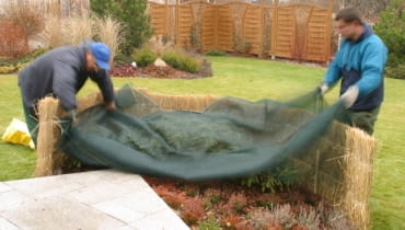 12.11.2003 ZALESINEK OGROD JESIEN OGRODOWE PRACE JESIENNE PRZYKRYWANIE KRZEWY LISCIASTE MATA OCHRONNA ZABEZPIECZENIE ROSLIN OKRYWANIE PRZED ZIMA DO PISMA KWIETNIK ARANZACJA PANI DANUTA MLOZNIAK FOT. PAWEL SLOMCZYNSKI / AGENCJA GAZETA PUBLIKACJA KWIETNIK NR 11 (131) - 11.2005