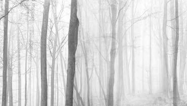 Wystawa 'Vita Contemplativa' - Architektur Galerie Berlin