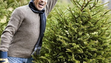 Cięta choinka nie musi być zbyt duża. Ważne, by miała ładny, regularny pokrój i była żywozielona Cięta choinka nie musi być zbyt duża. Ważne, by miała ładny, regularny pokrój i była żywozielona