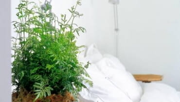 ONE TIME USE ONLY DO JEDNOKROTNEJ PUBLIKACJI