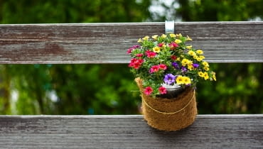 Dekoracja ogrodu Dekoracja ogrodu