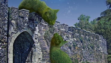 Kocie topiary Kocie topiary