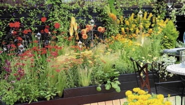 Starannie skomponowana rabata w gorących kolorach czerwieni składa się przede wszystkim z kwiatów dalii, krwawników i trytomy. Lekkości dodaje jej trawa piórkówka 10.07.2008 LONDYN HAMPTON COURD PALACE WYSTAWA KWIATOW I OGRODOW FLOWER SHOW 2008 RABATA , KOMPOZYCJA Z KWIATOW DALII , KRWAWNIKOW , TRYTOMY , JEZOWKI , KROKOSMII ORAZ TRAWY PIORKOWKI ( OSTNICY ) FOT. ARKADIUSZ SCICHOCKI / AGENCJA GAZETA PUBLIKACJA OGRODY NR 11 (127) - 11 2009 SLOWA KLUCZOWE: WYSTAWA OGROD ROSLINA KWIAT KOMPOZYCJA ZDJĘCIE DO WKŁADKI: PUBLIKACJA OGRODY NR 11 (127) - CZASOPISMA