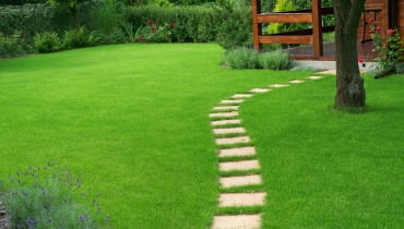 Kiedy podlewać trawnik Trawnik podlewanie