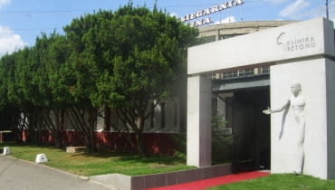 Pracownia projektowa Klinika betonu i fantastyczny rząd ładnie wypielęgnowanych starych cisów Pracownia projektowa Klinika betonu i fantastyczny rząd ładnie wypielęgnowanych starych cisów