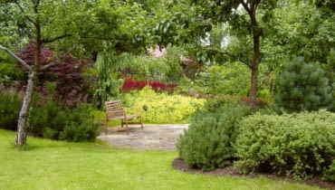 Placyk 'patelnia'. Wyizolowany, nasłoneczniony zakątek otoczony krzewami posadzonymi na nasypie. Placyk 'patelnia'. Wyizolowany, nasłoneczniony zakątek otoczony krzewami posadzonymi na nasypie.