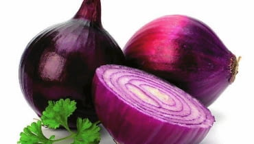 Cebula czerwona Cebula czerwona