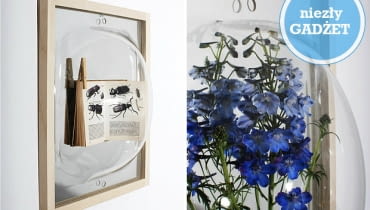 eksponowanie, dom, kolekcje, jak wyeksponować, showcase mirror