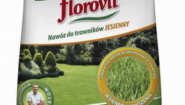 Nawóz jesienny do trawników Nawóz jesienny do trawników