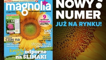 Magazyn Magnolia Magazyn Magnolia