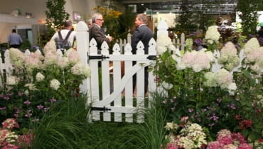 Zieleń to życie Zieleń to życie