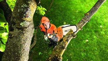Podkrzesywarka spalinowam cicha i wydajna, do pielęgnacji drzew z poziomu ziemi do wysokości 5m, Stihl/Fot.: mat. pras.