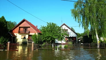 Nebojsa Markovic shutterstock