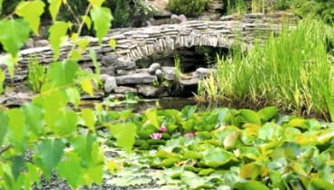 Ogród w Młodzawach Małych k. Pińczowa