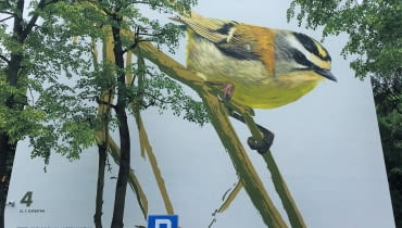 Ptasie murale na osiedlu Na Kozłówce - Zniczek Ptasie murale na osiedlu Na Kozłówce - Zniczek