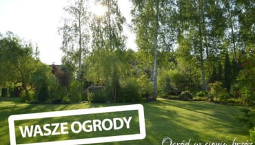 Widok z tarasu a