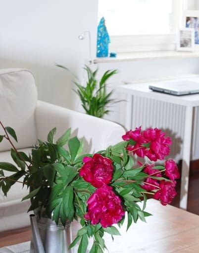 wasze wnętrza, jak mieszkają czytelnicy, mieszkanie w Krakowie